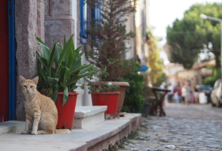 3 Days Ayvalik City Tour photo 7