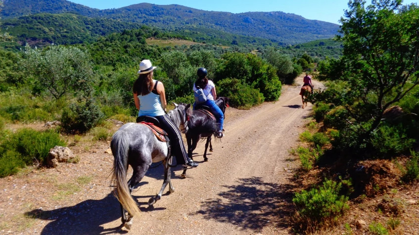 Daily Horse Riding Tour On Patara Beach photo 3