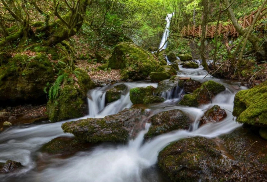 Daily Duzce Eftani Lake and Waterfalls Tour photo 1