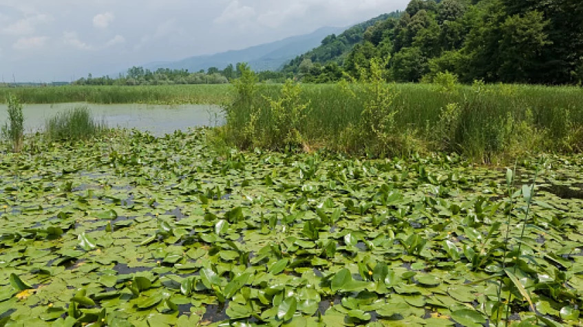 Daily Duzce Eftani Lake and Waterfalls Tour photo 5