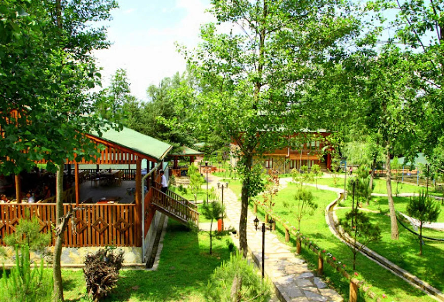 Daily Sapanca Masukiye Tour photo 2