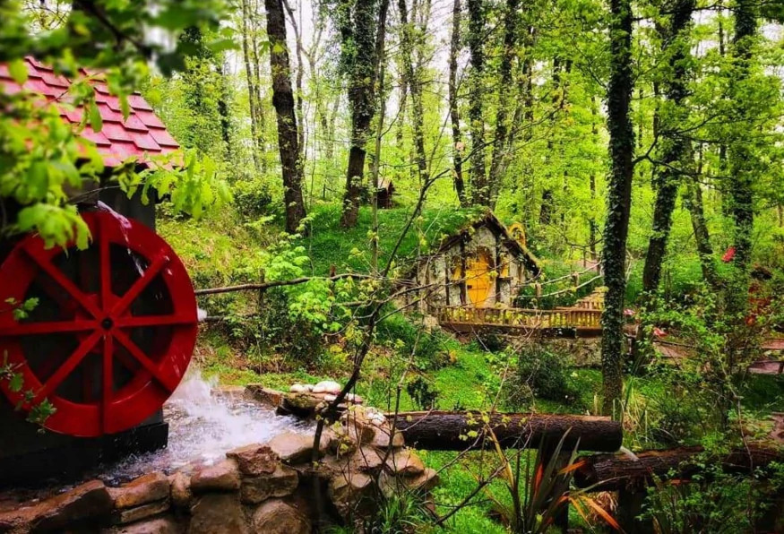 Daily Sapanca Masukiye Tour photo 8