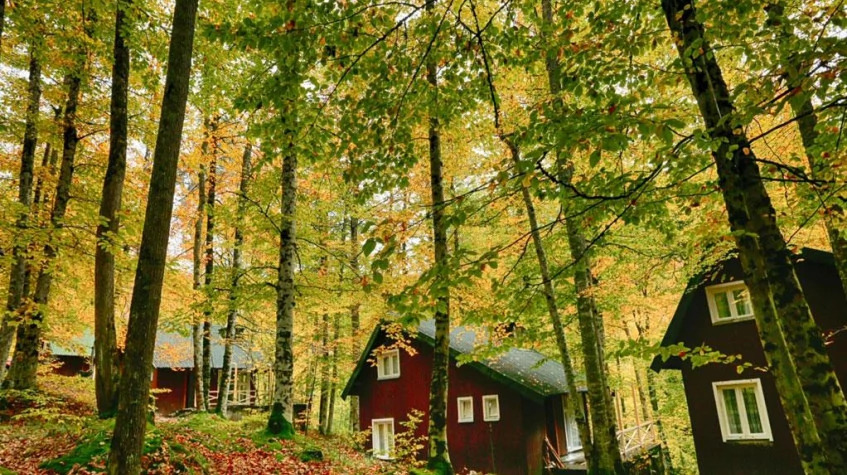 Daily Yedigoller Tour from Bolu photo 3