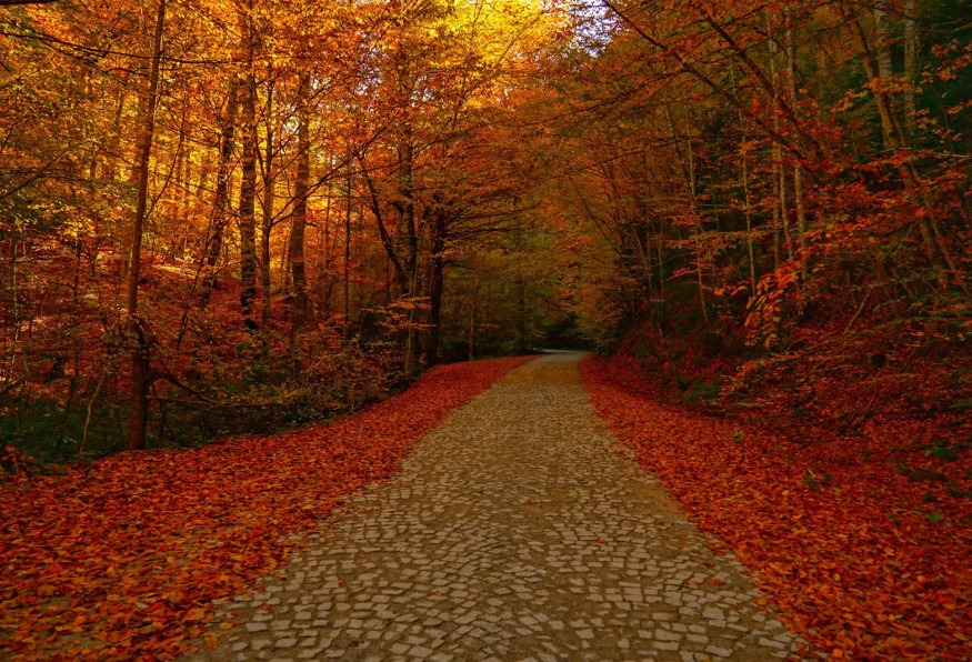Daily Yedigoller Tour from Bolu photo 6