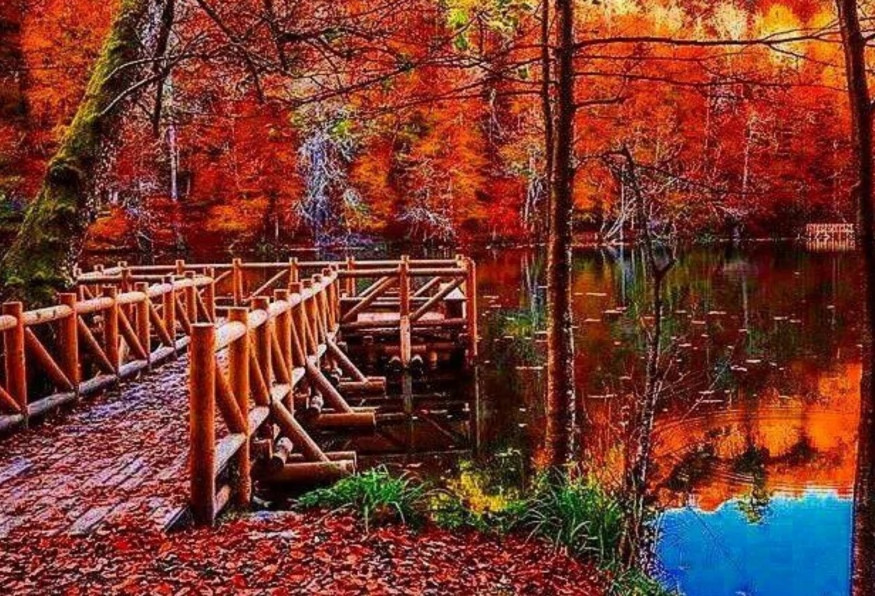 Daily Yedigoller Tour from Bolu photo 7