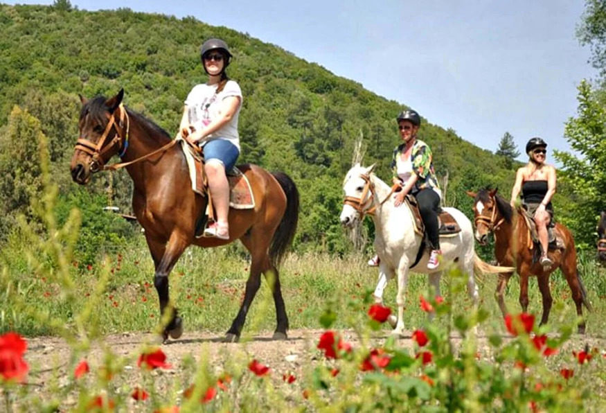 Daily Horseback Riding in Marmaris photo 1