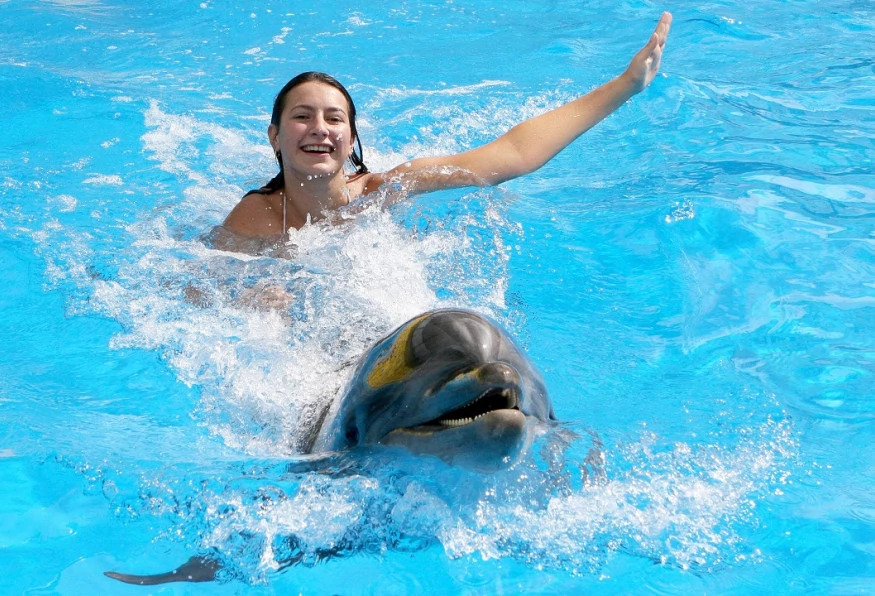 Daily Marmaris Dolphin Show photo 2