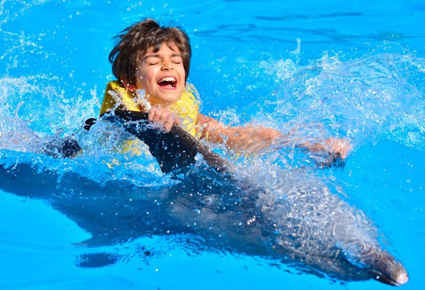 Daily Marmaris Dolphin Show photo 4