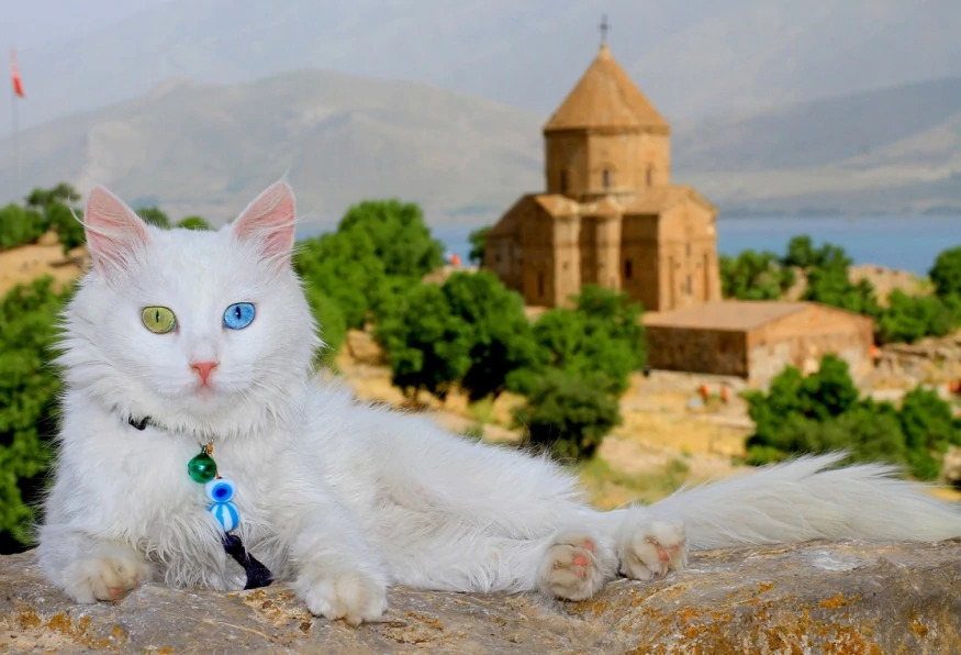 Daily Akdamar Island & Van Lake Tour from Bitlis photo 4