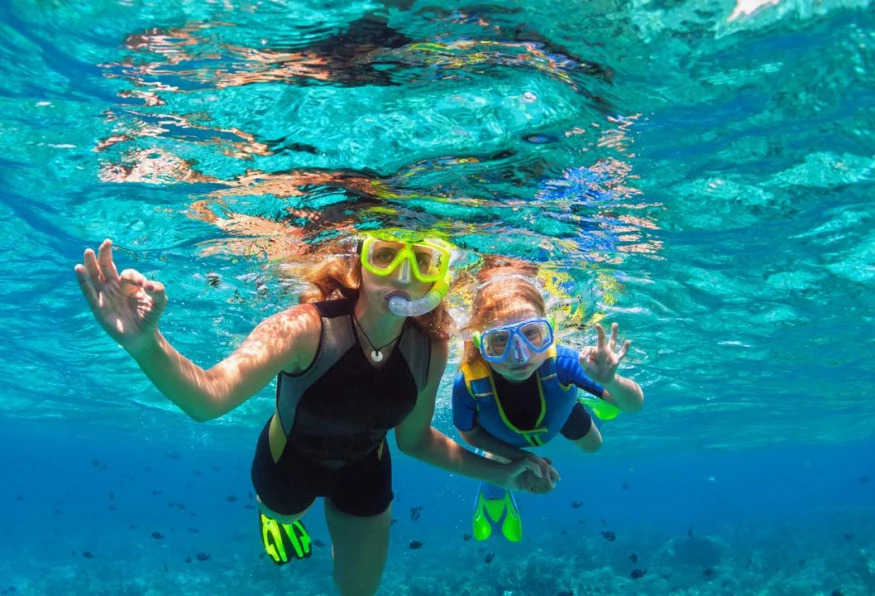 Daily Marmaris Swim With Dolphins photo 2