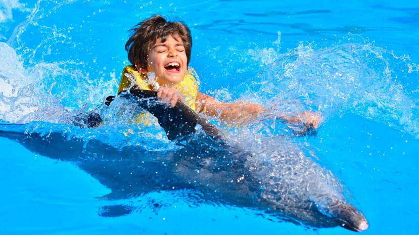 Daily Marmaris Swim With Dolphins photo 3