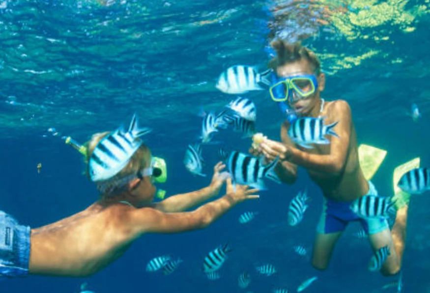 Daily Marmaris Swim With Dolphins photo 4