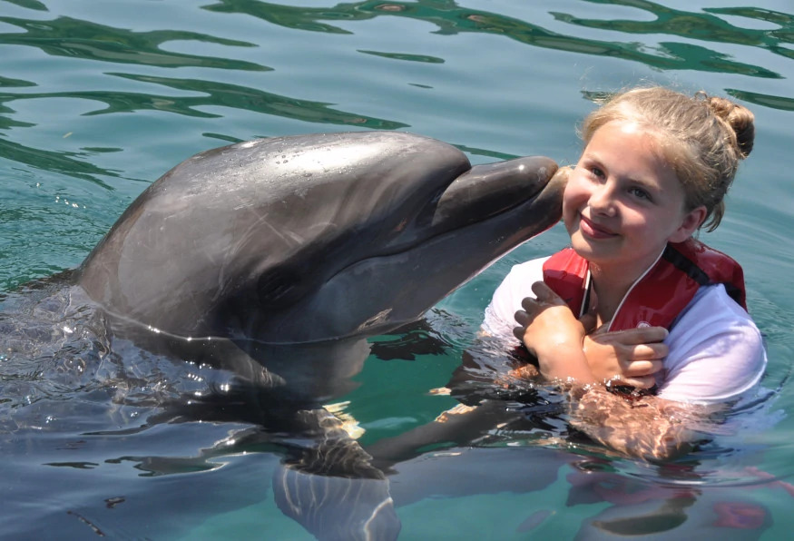 Daily Marmaris Swim With Dolphins photo 8