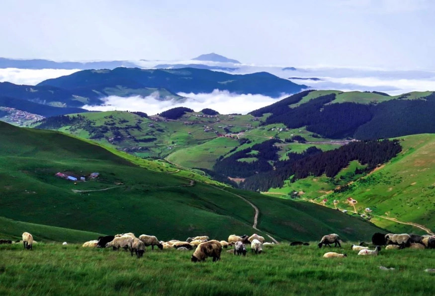 Daily Giresun Kumbet Plateau Tour photo 2