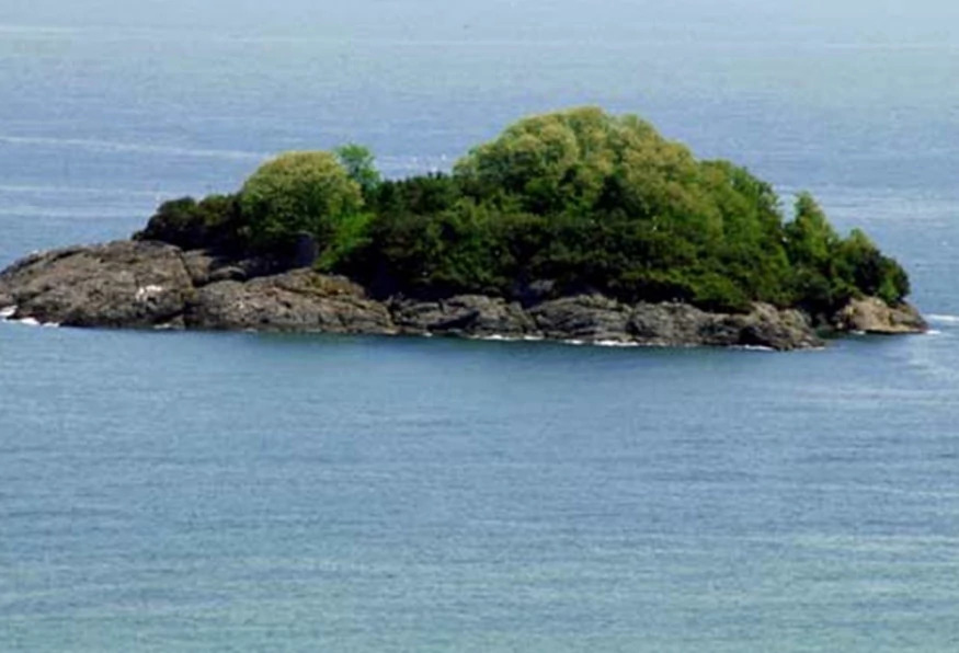 Daily Giresun Island Tour photo 3