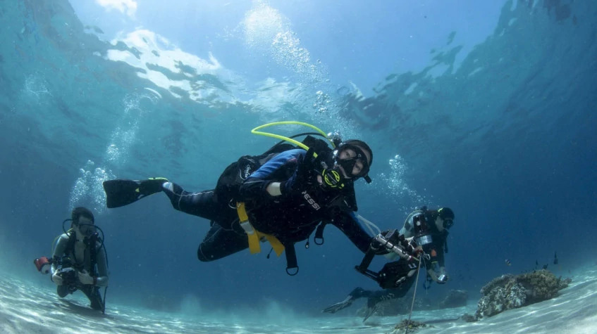 Daily Bodrum Scuba Diving Tour from Didim photo 1