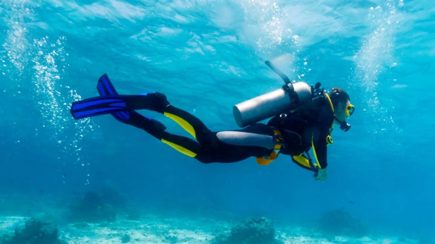Daily Bodrum Scuba Diving Tour from Didim photo 2