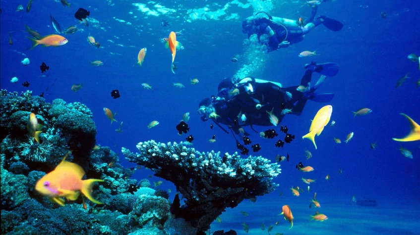 Daily Bodrum Scuba Diving Tour from Didim photo 4