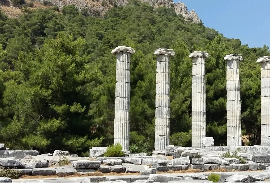 Daily Didim City Tour photo 2