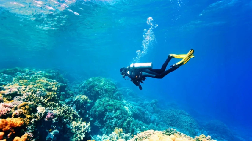 Daily Didim Scuba Diving Tour photo 3