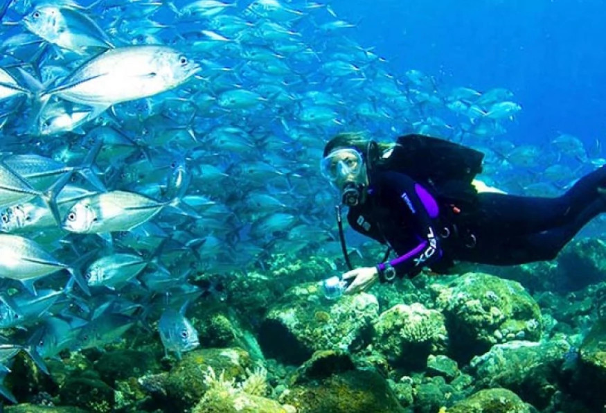 Daily Didim Scuba Diving Tour photo 4