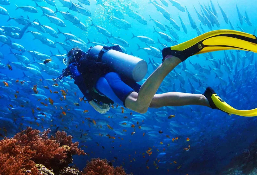 Daily Didim Scuba Diving Tour photo 5