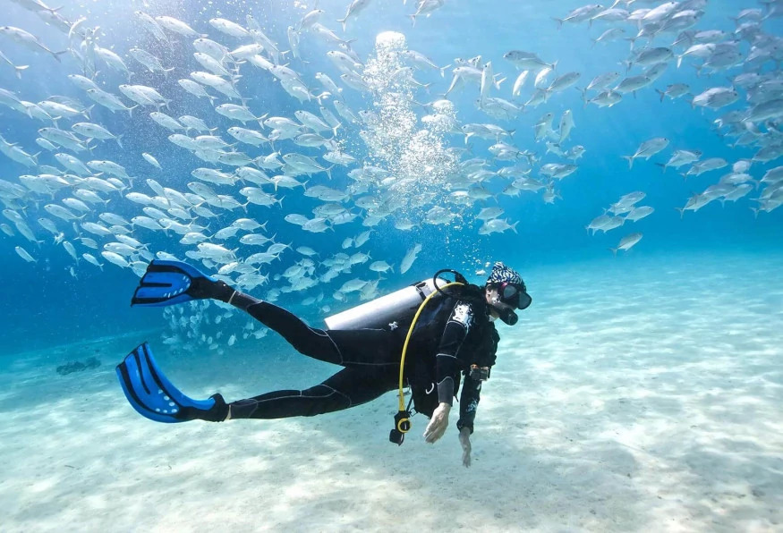 Daily Didim Scuba Diving Tour photo 6