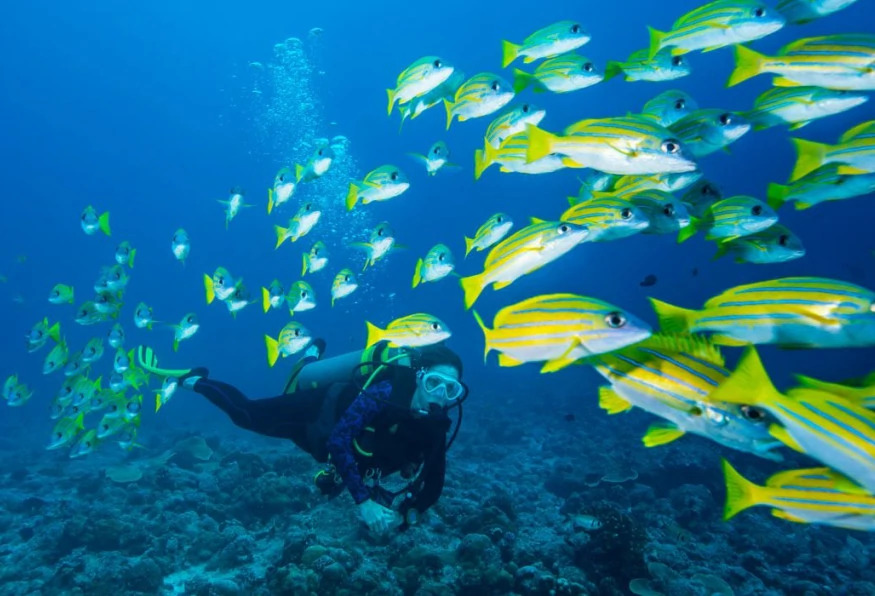 Daily Didim Scuba Diving Tour photo 7