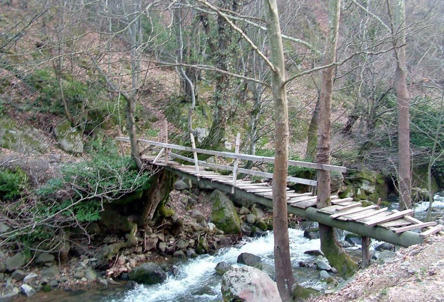Daily Yalova City Tour photo 7