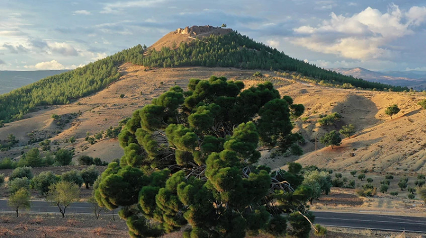 Daily Kilis City Tour photo 8