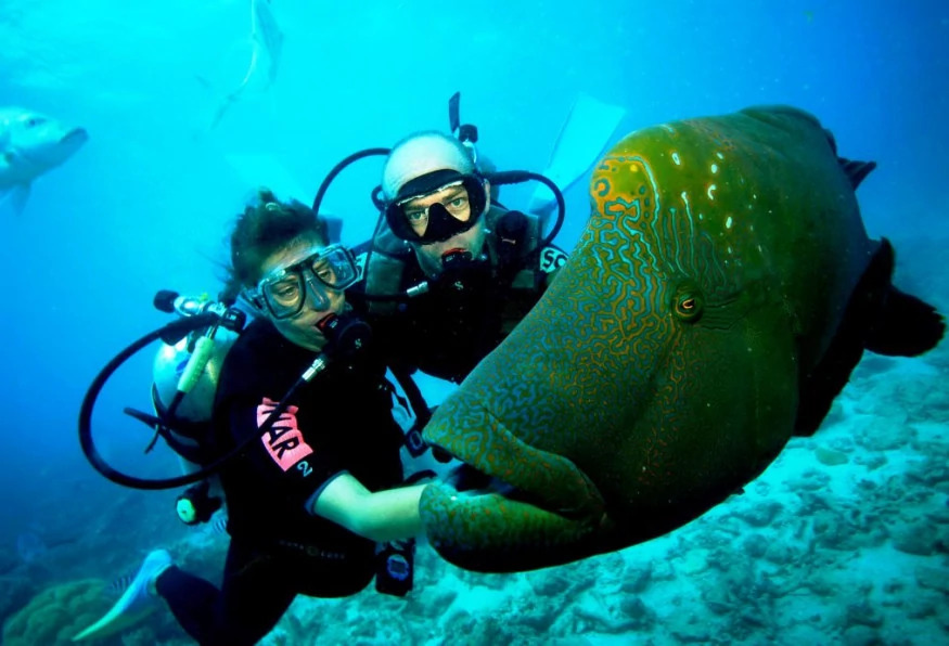 1-Day Cesme Scuba Diving Tour – Explore the Underwater World of the Aegean Sea photo 2