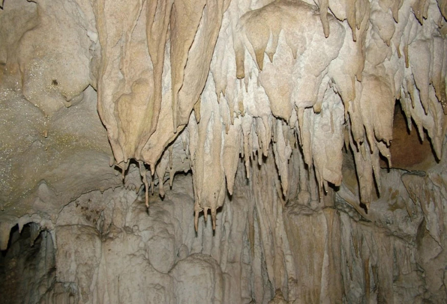 3 Days Zonguldak - Duzce Tour photo 9