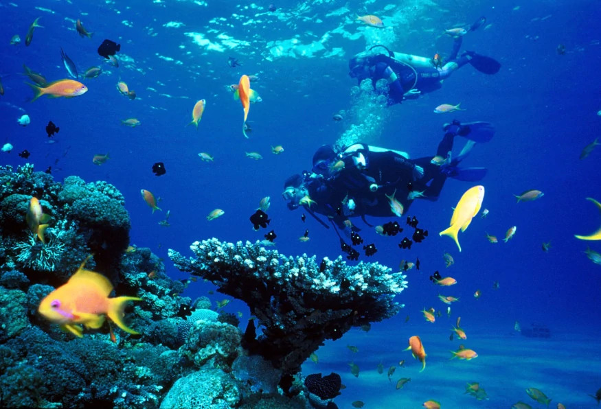 Daily Scuba Diving Tour from Selcuk photo 1