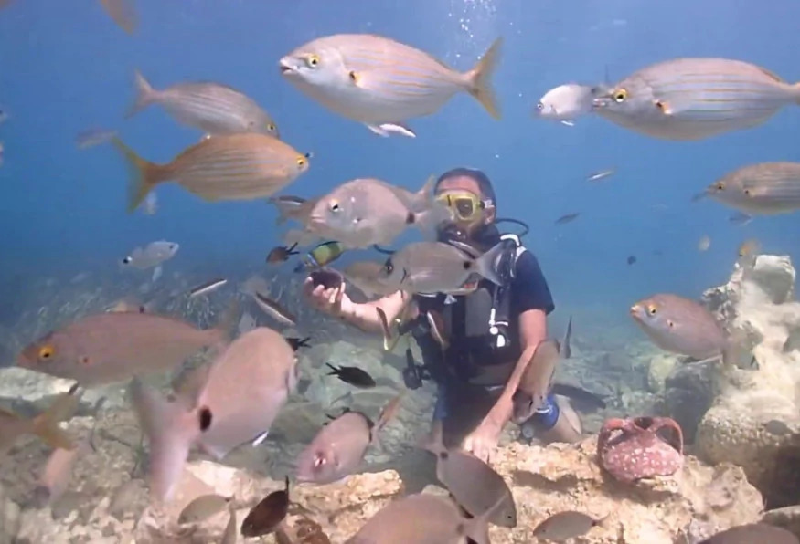 Daily Scuba Diving Tour from Selcuk photo 2