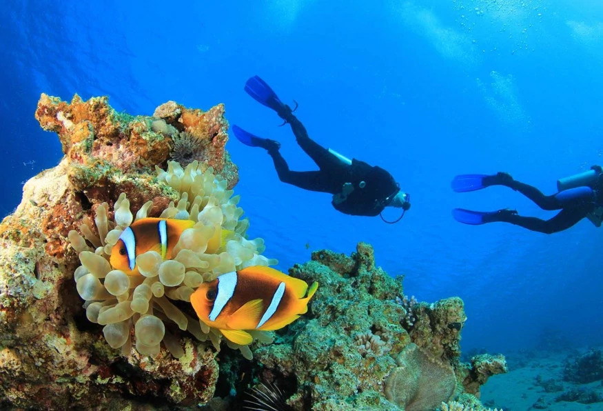 Daily Scuba Diving Tour from Selcuk photo 3