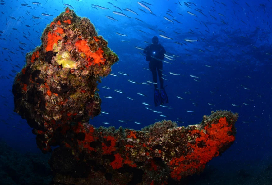 Daily Scuba Diving Tour from Selcuk photo 5