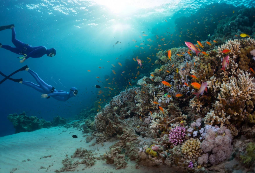 Daily Scuba Diving Tour from Selcuk photo 6