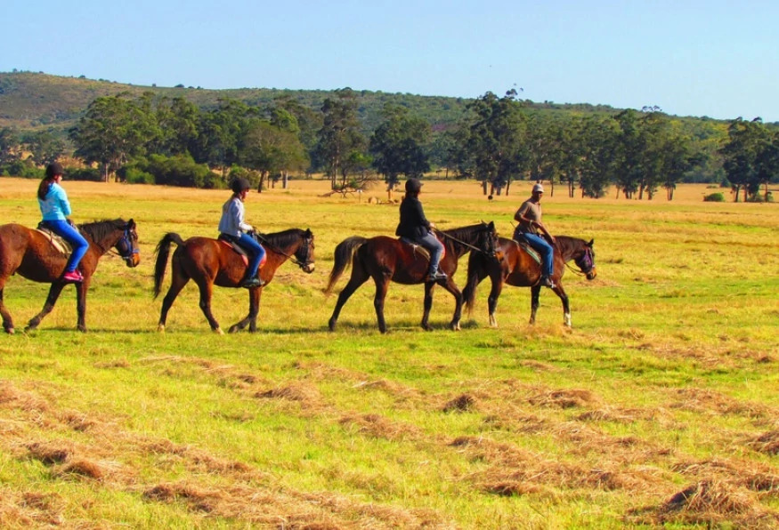 Daily Horse Safari Tour from Selcuk photo 4