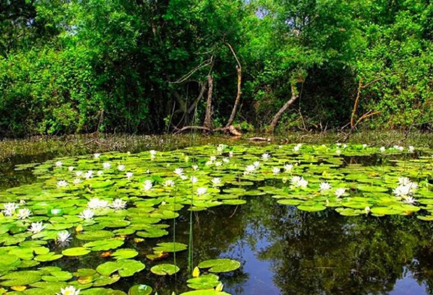 4 Days Kirklareli City & Igneada Trekking Tour photo 1