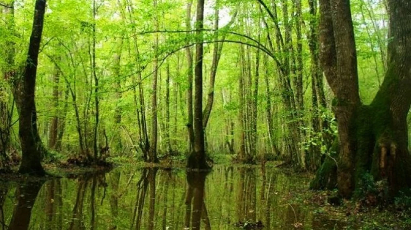 4 Days Kirklareli City & Igneada Trekking Tour photo 2