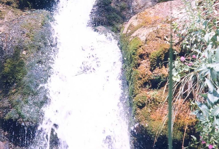 Daily North Tunceli Tour photo 5