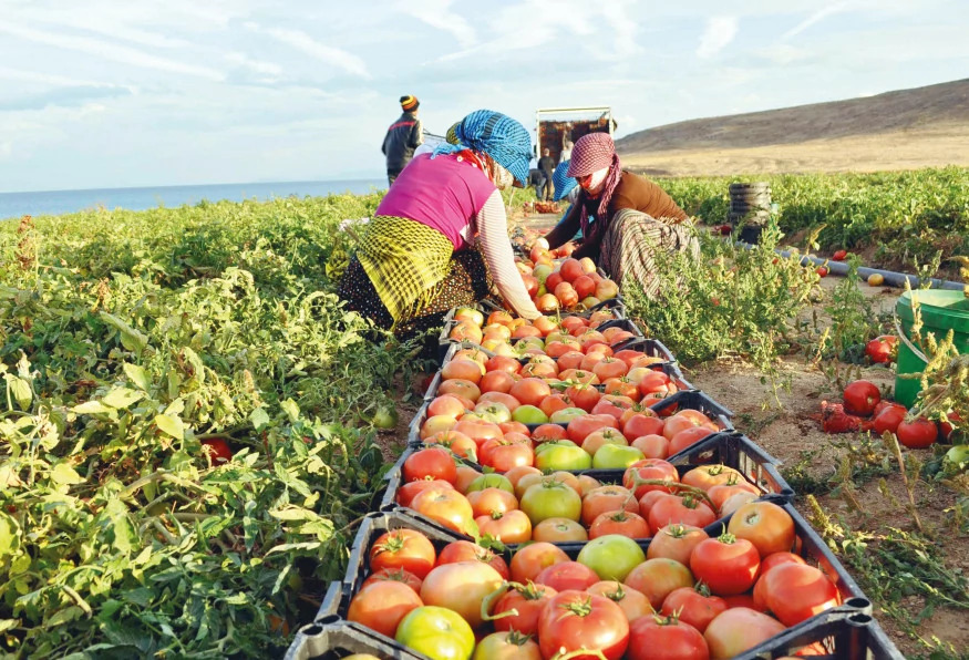Daily Tokat Natural Tour photo 8