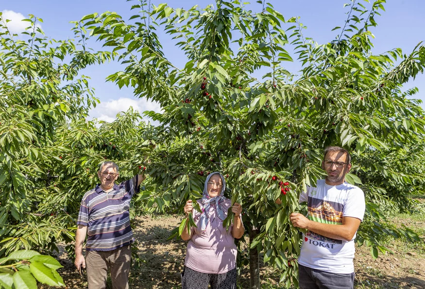 Daily Tokat Eco & Wine Tasting Tour photo 8