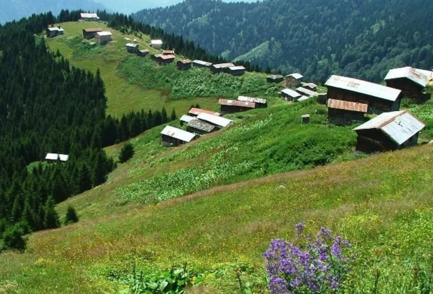 Daily Surmene-Ayder Tour photo 3