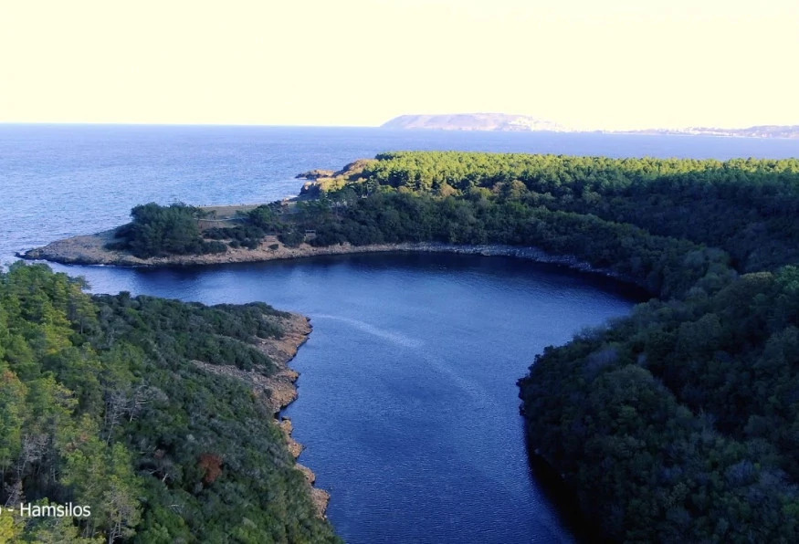 Daily Sinop Nature Tour photo 6