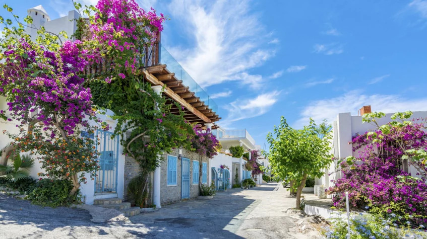 Daily Bodrum Jeep Safari Tour photo 12