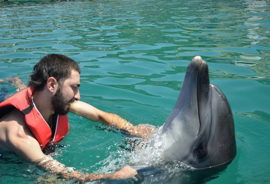 Bodrum Dolphin Show Tour photo 7