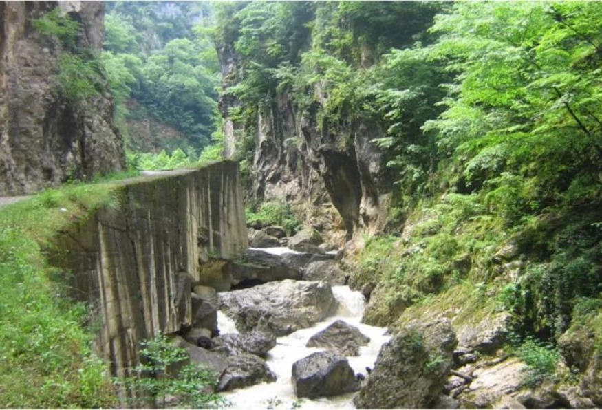 Daily Yenice Forest Nature Tour photo 10