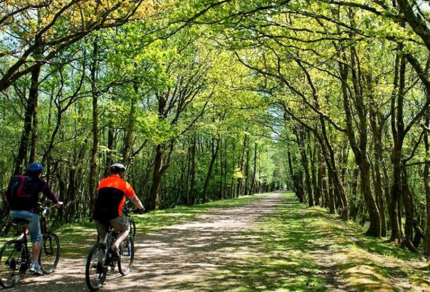 Daily Zonguldak Bicycle Tour photo 1