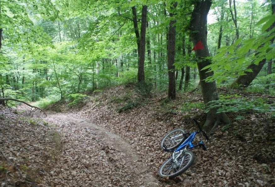 Daily Zonguldak Bicycle Tour photo 3